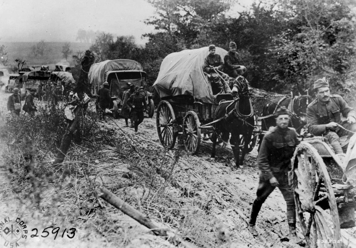 The History of the Missouri mule