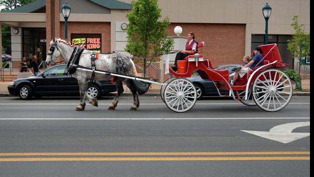 Carriage company ordered to end rides in St. Louis, St. Louis County | Politics | nrd.kbic-nsn.gov