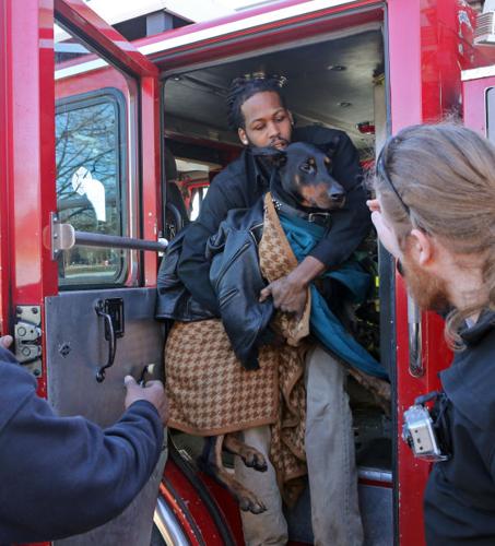 Fire Dept. Rescues dog from lake in O'Fallon Park