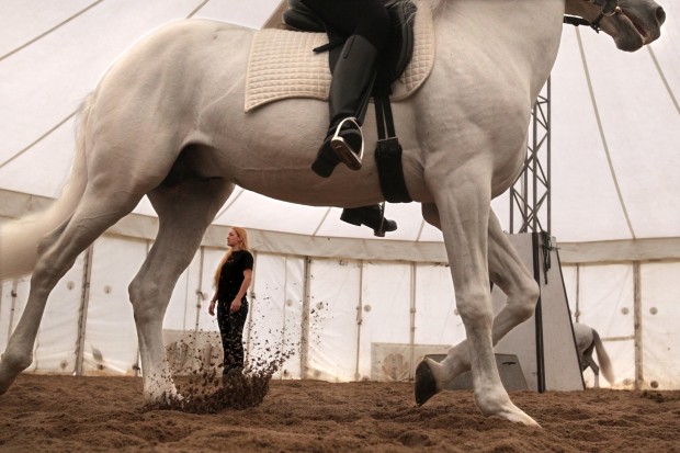 'Cavalia' is a dreamy tribute to horses