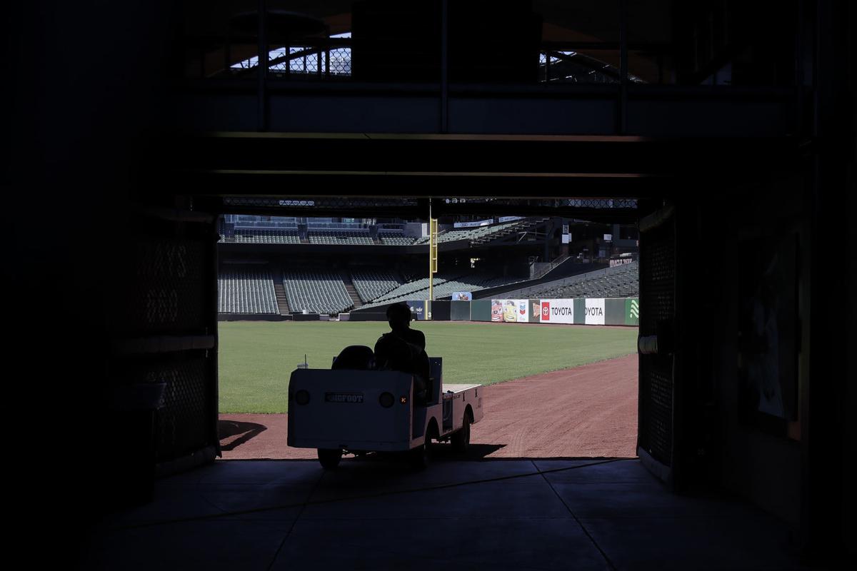 Giants Baseball