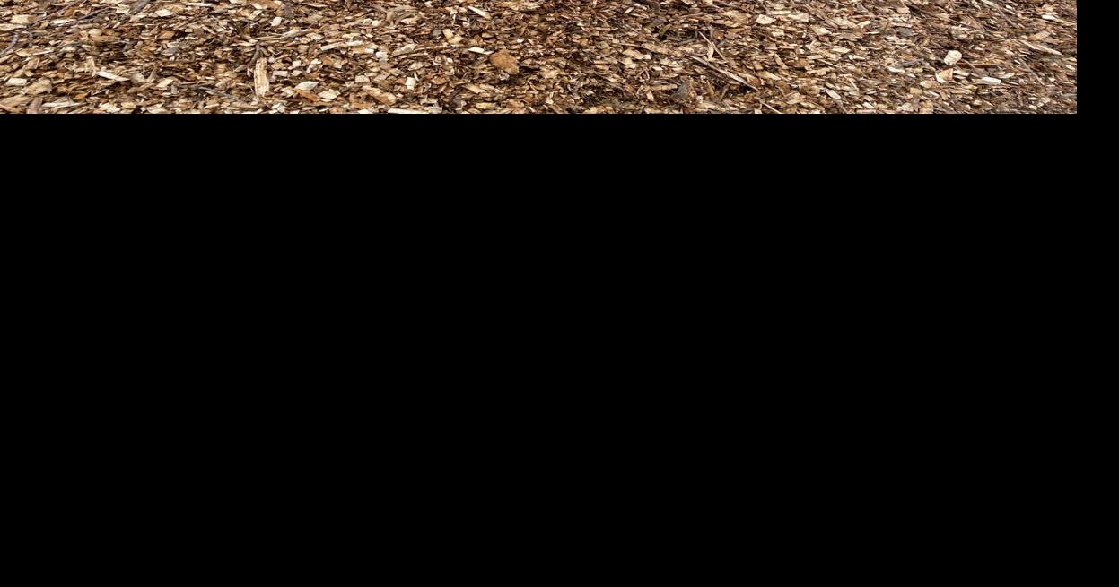 Building the future: Construction underway on historical society facility