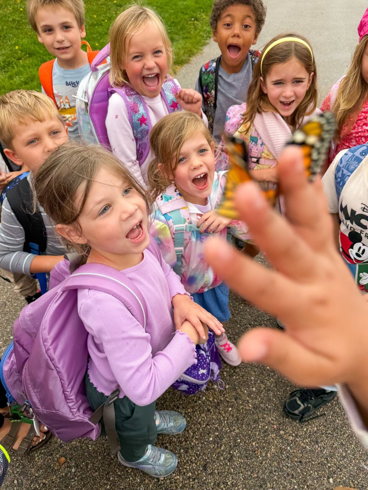 Butterly time at Fox Prairie | Local News | stoughtonnews.com