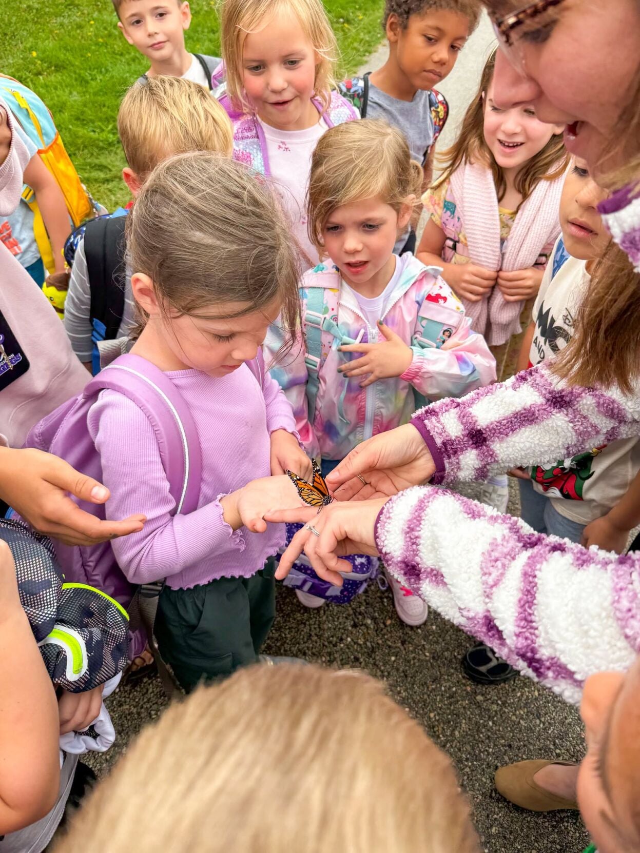 Butterly time at Fox Prairie | Local News | stoughtonnews.com