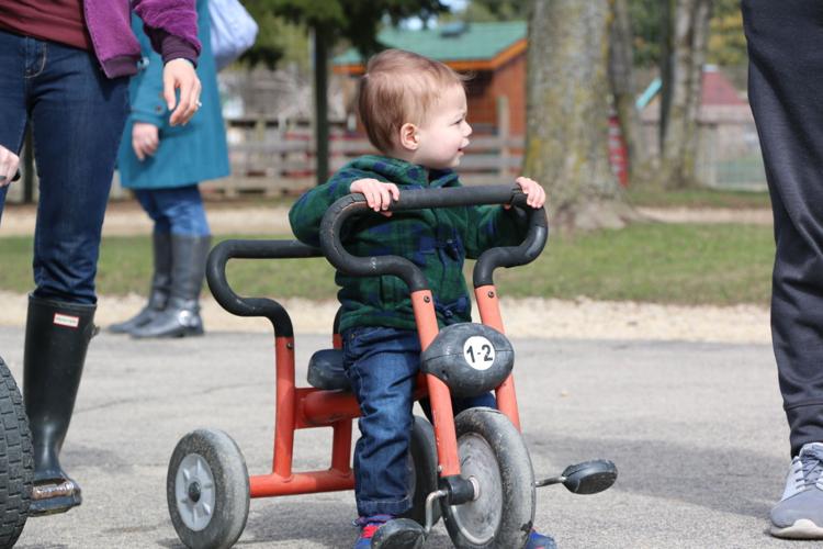 Lambing, kidding days returns this month at Eugster’s Community