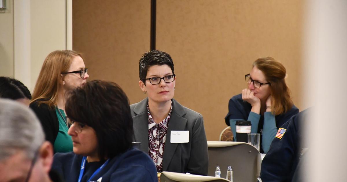 Sara Rabe selected as next president of Wellness Coalition | Local News ...