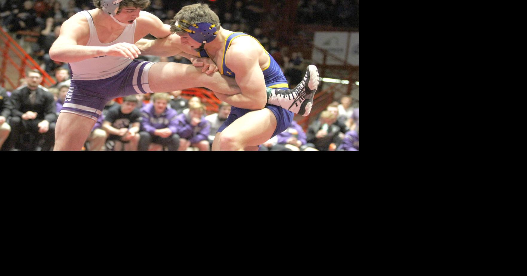 Wrestling Stoughton repeats as state champs Sports