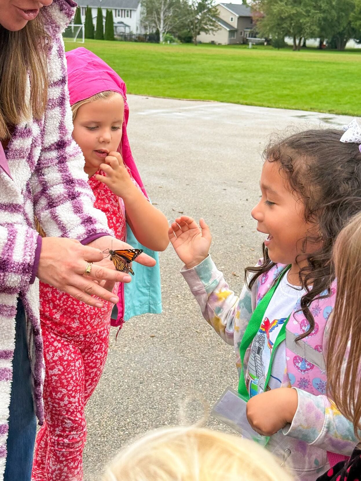 Butterly time at Fox Prairie | Local News | stoughtonnews.com