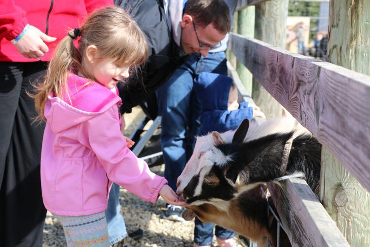 Lambing, kidding days returns this month at Eugster’s Community