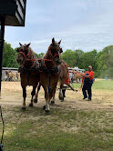 Horse Pullers Assoc. at Sullivan County Park and Lake