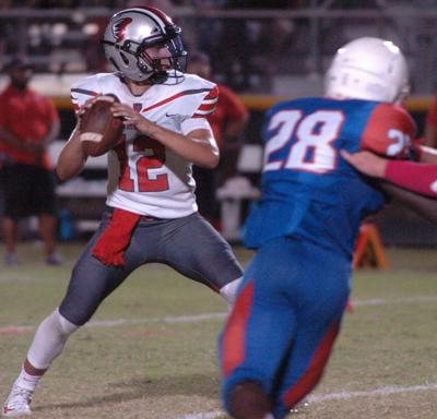 More Pasco Pinellas Locals Selected To All State Football Teams