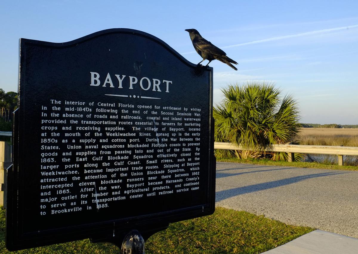PHSC students to observe, record Bayport archaeological site News