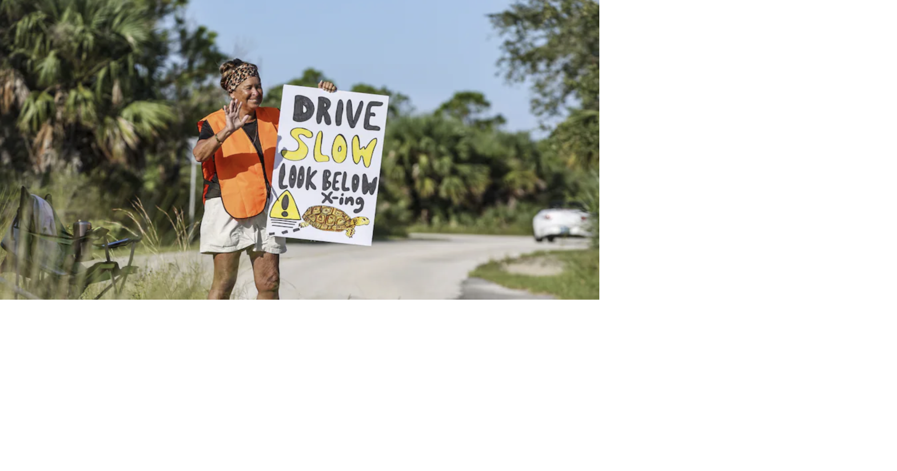 Sounds goDrivers kept hitting tortoises at a Florida state park. Then one woman took action.
