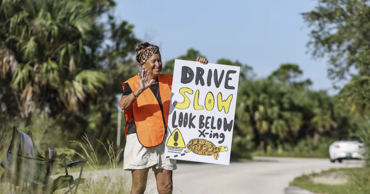 Sounds goDrivers kept hitting tortoises at a Florida state park. Then one woman took action.