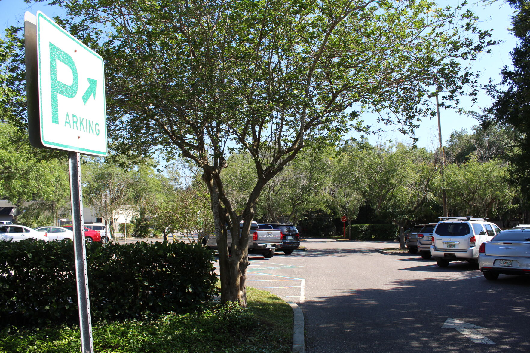 New Port Richey council votes to pay more to speed up parking lot completion - Vimarsana News