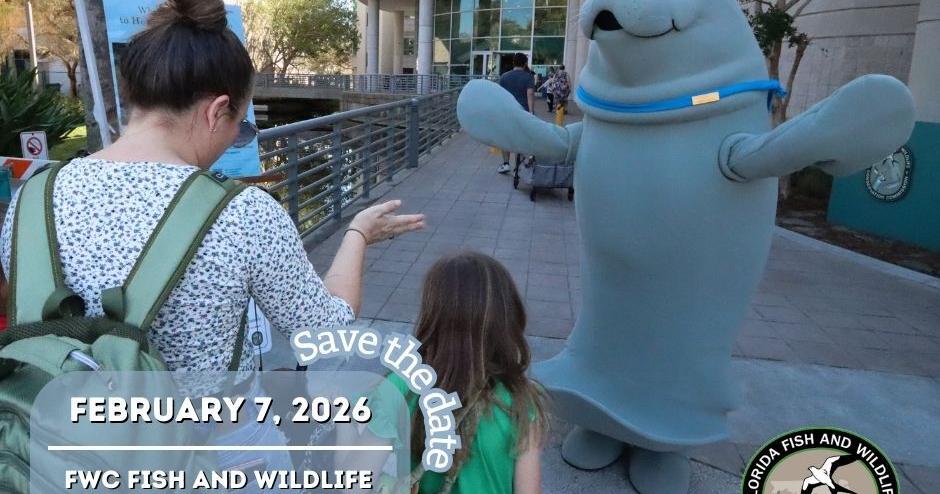 Things to do around Pinellas: Feb. 5-11