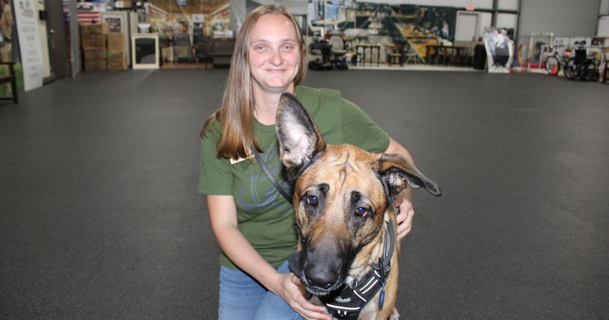 Woman learns service dog training skills to help veterans | News