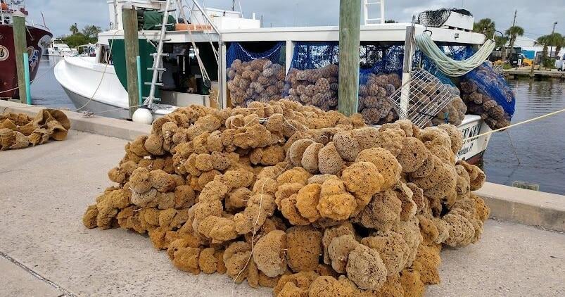 Things to do around Pinellas: April 16-22