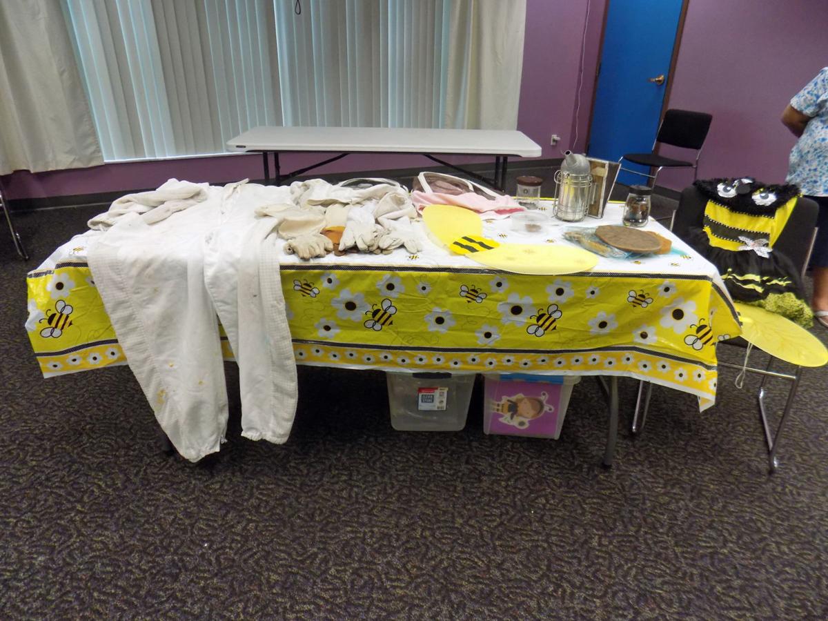 Bees Buzzed At New Port Richey Public Library News