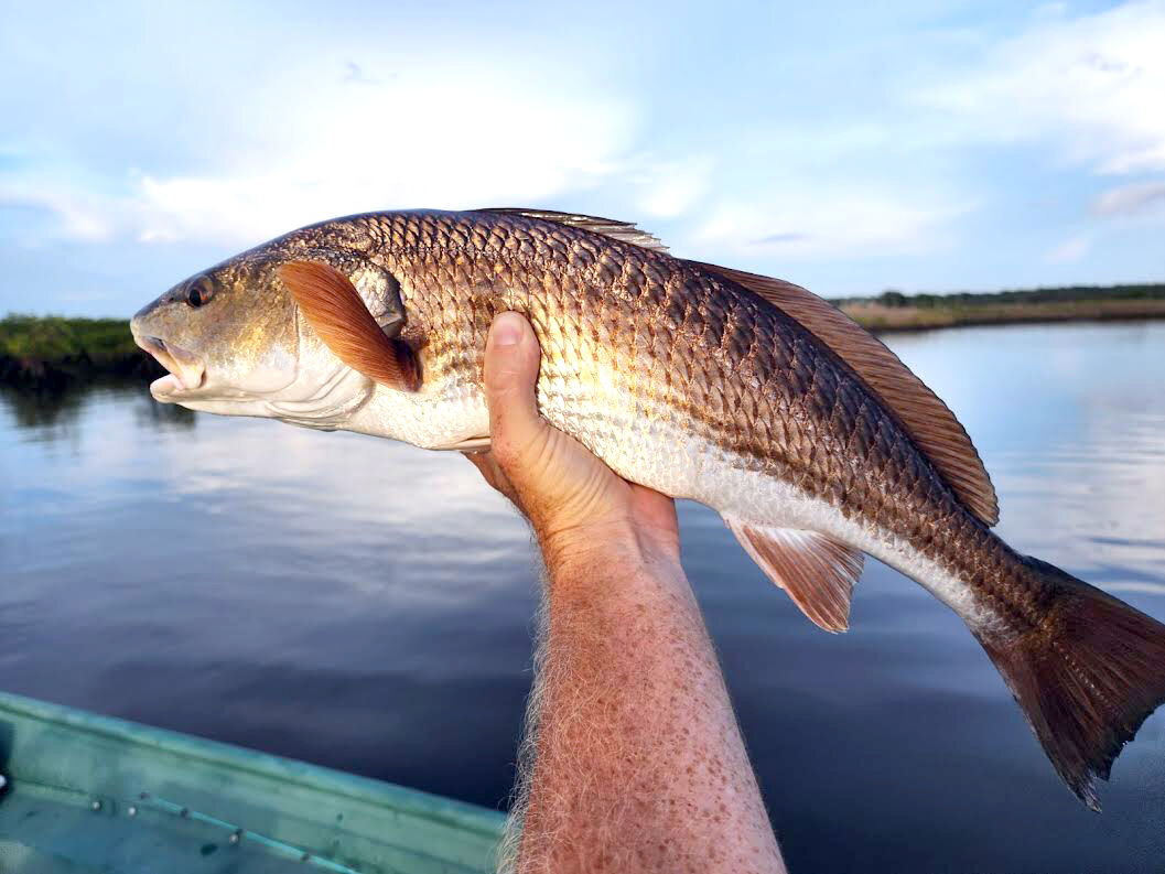 How To Catch Redfish In Murky Water (And Big Tides)