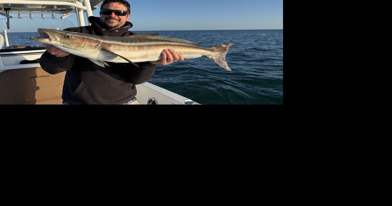 The Pasco & North Pinellas Fishin' Report: Gulf Council announces 2026 gag grouper season