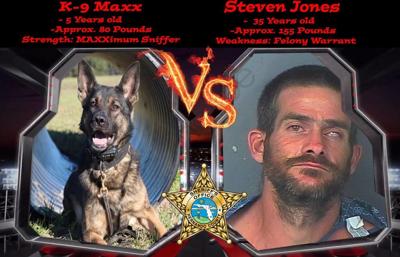 K-9 Maxx helps apprehend hiding suspect Crime Crashes Fires