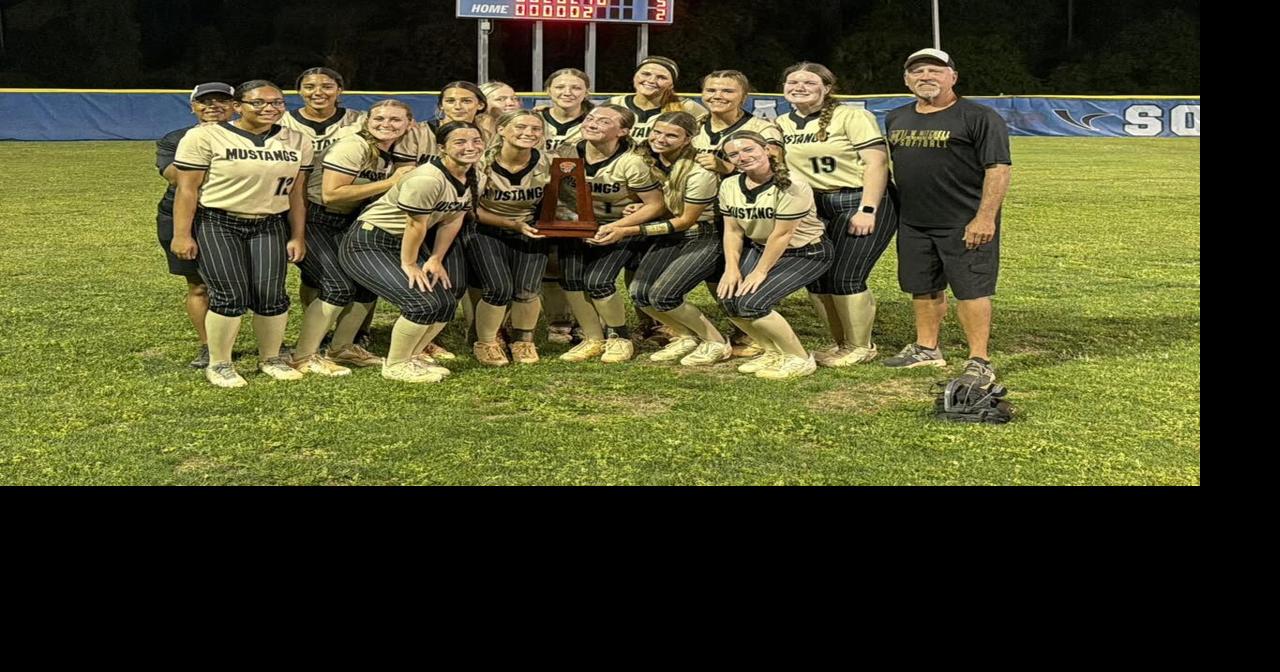 Mitchell, Hudson claim district softball titles