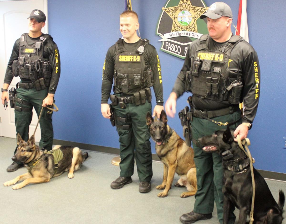 Pasco Sheriffs Office Adds Three K9 Patrol Teams News 