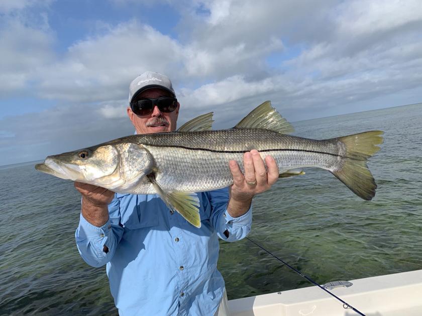 The Fishin' Report: Murky water means live baits a best bet - Suncoast News