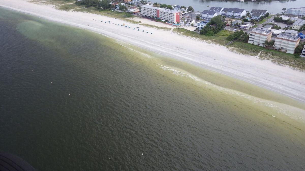 Many Unhappy With Closure Of Three Main Inshore Saltwater Species