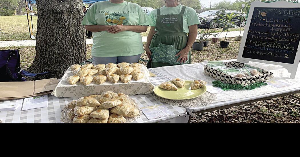 Tiny but tasty loquat gets its own festival in New Port Richey News