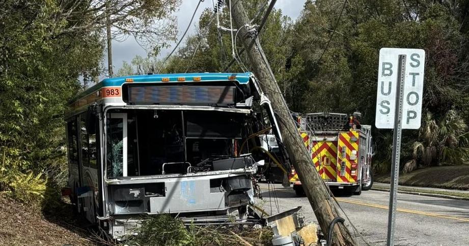 Bus driver fell asleep at wheel, hit power poles