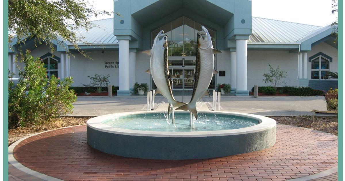 Tarpon Springs Library patrons to see longawaited upgrade this summer