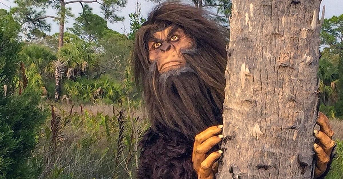 ‘Catch me if you can,’ Skunk Ape challenges players News