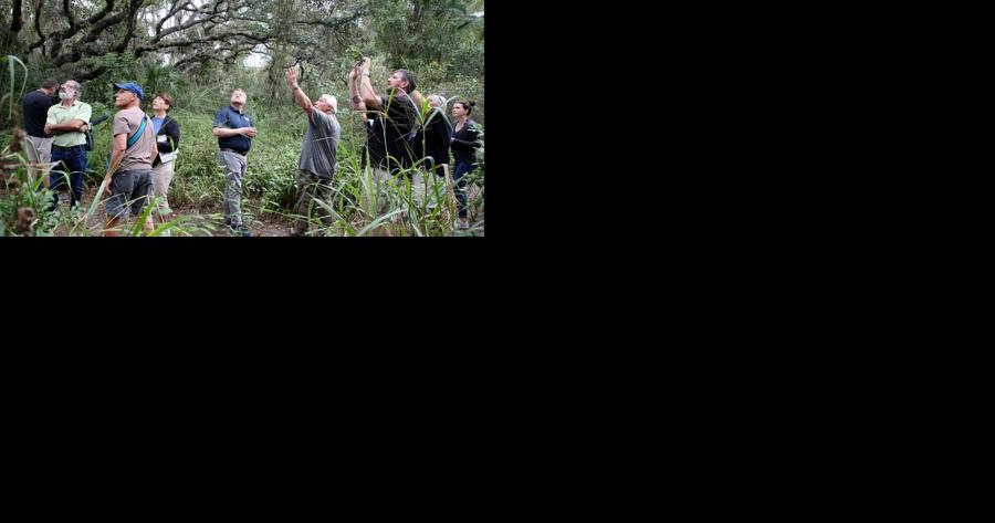 Pinellas residents secure $2.5 million state grant to save 14-acre forest - Vimarsana News