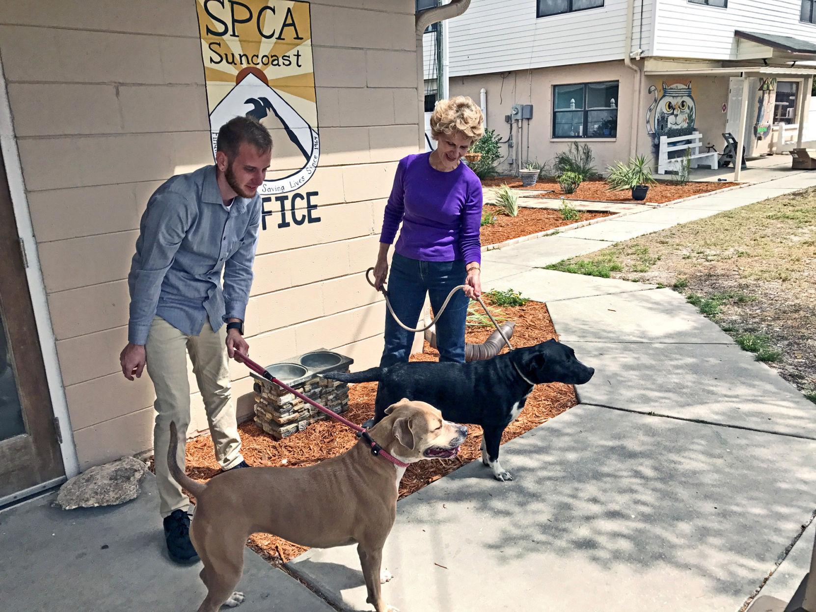 abandoned animal rescue