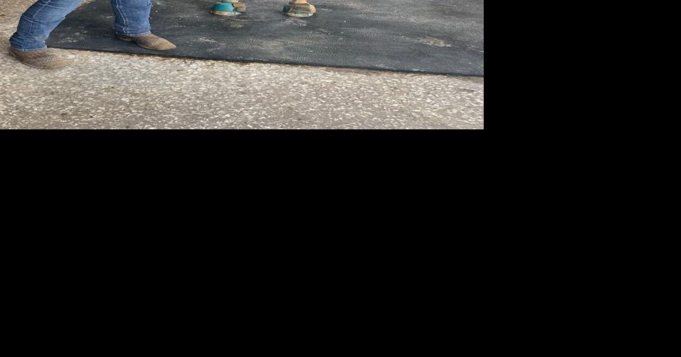 Odessa horse farm offers clients a 'Quantum Leap' into health News