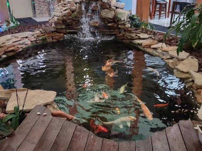 Koi pond designer finds satisfaction in a job well done