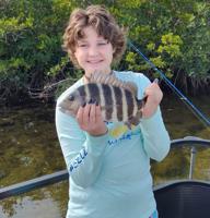 The Nature Coast Fishin’ Report: Offshore fishing paying off for anglers