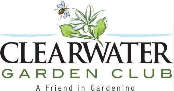 Things to do around Pinellas: Jan. 29-Feb. 4