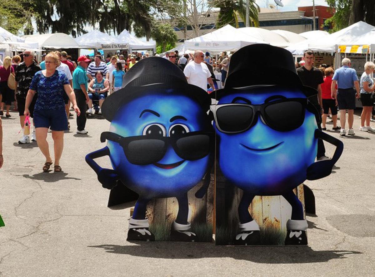 Florida Blueberry Festival back for sixth year News