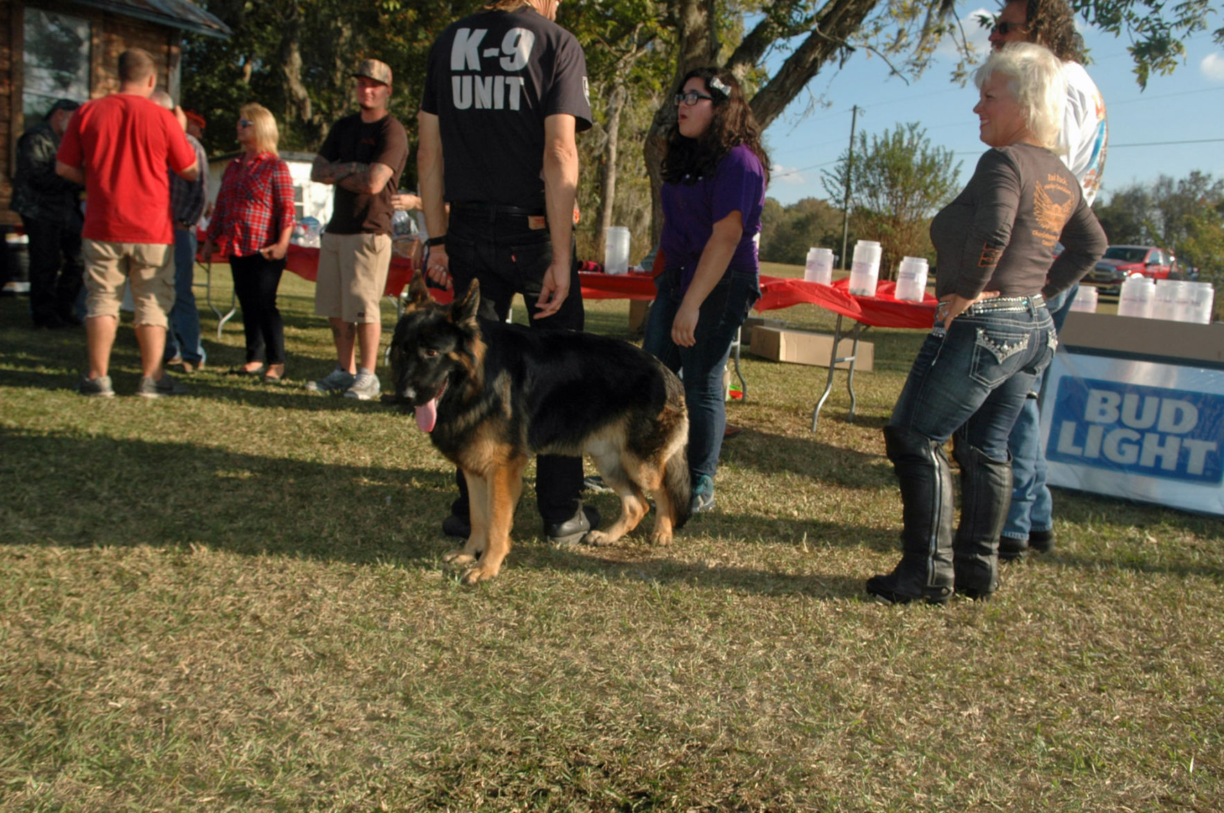 german shepherds and seizures