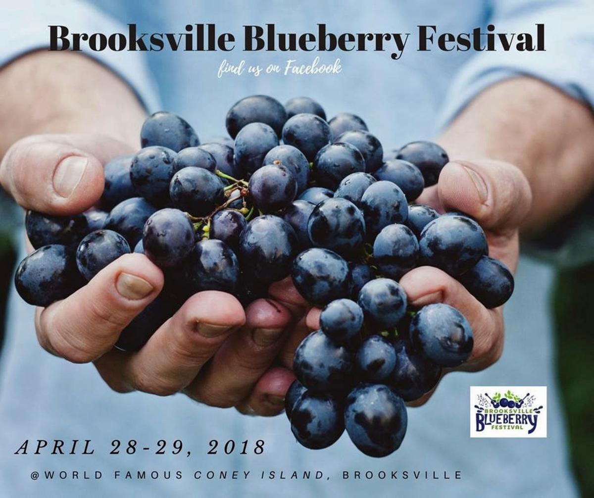 Florida Blueberry Festival returning to Brooksville Business