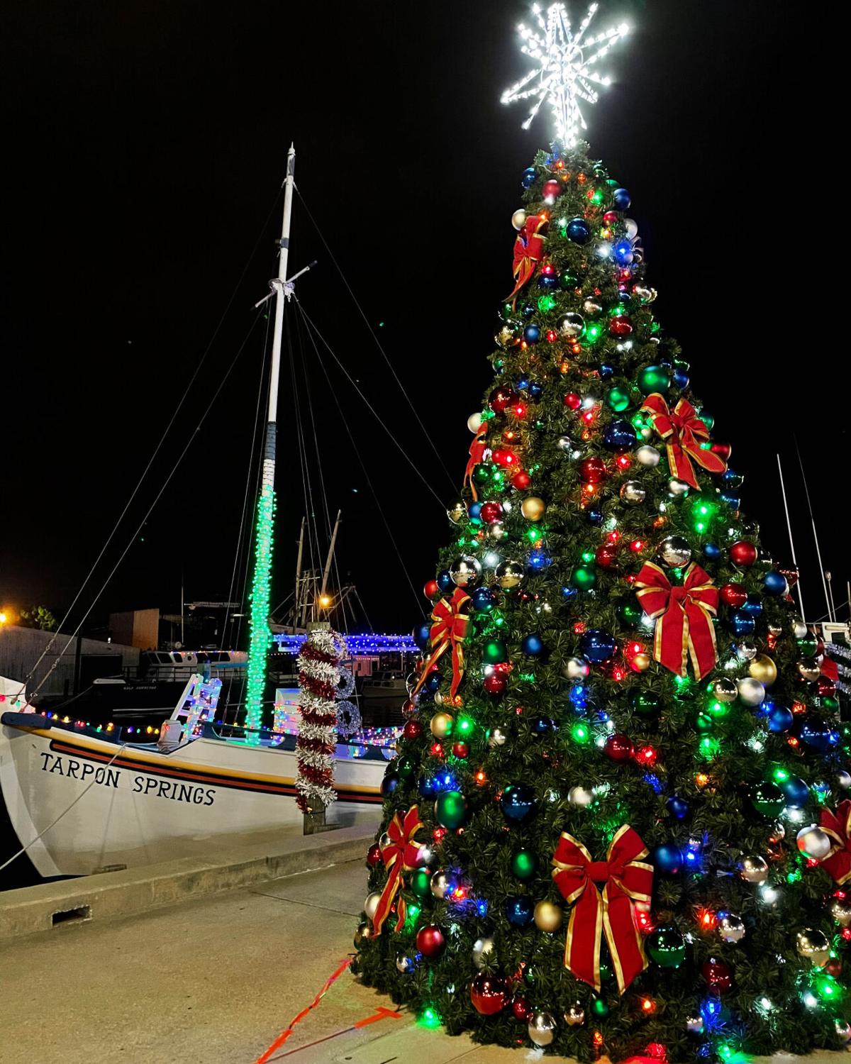 Brooksville Christmas Tree Lighting 2021