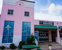 Tarpon Springs Aquarium.jpg
