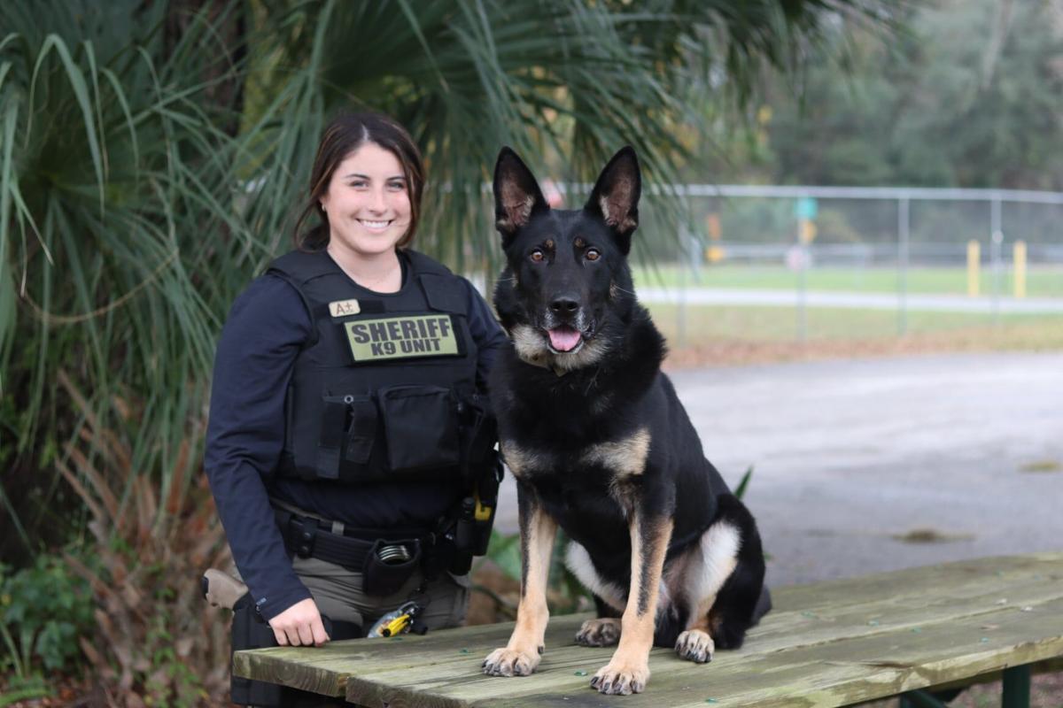 Sheriff’s Office welcomes two new K-9 deputies