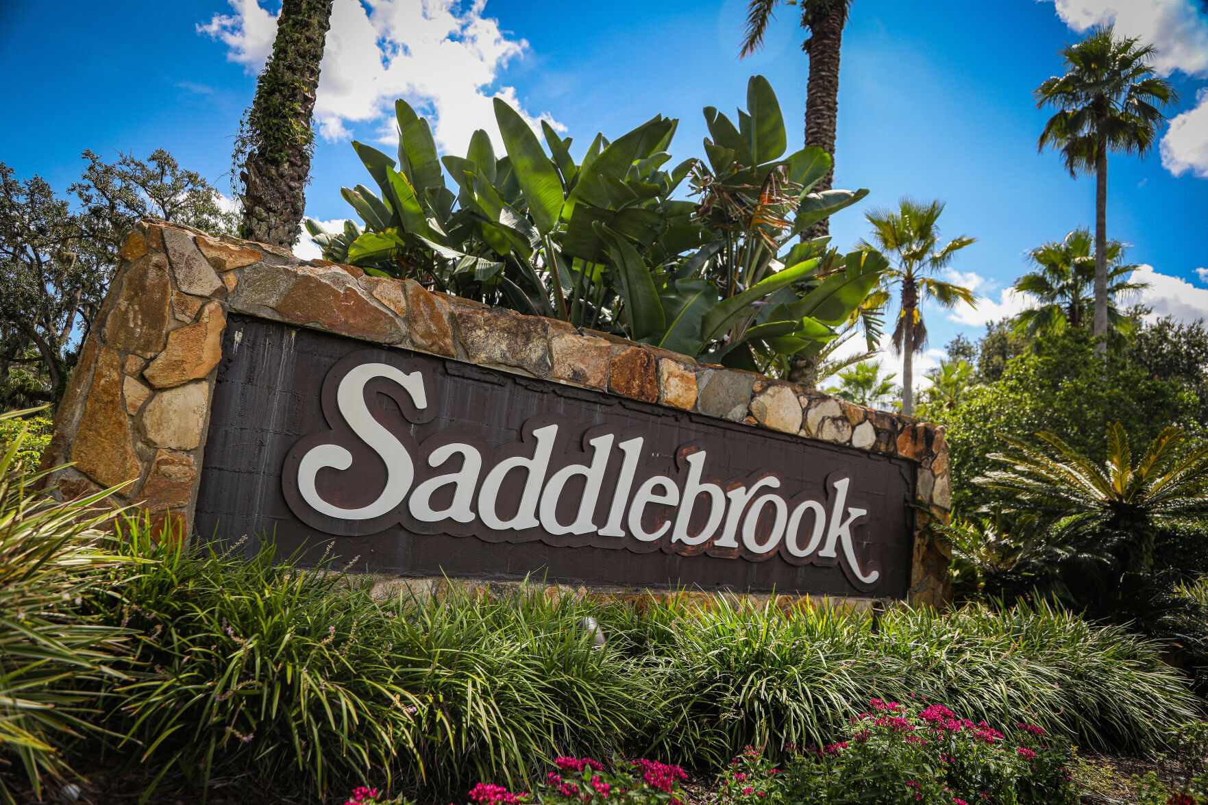 Wesley Chapel suncoastnews com