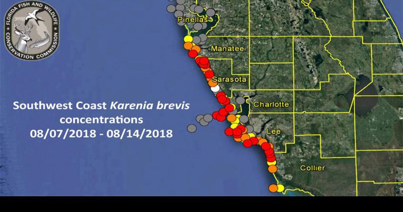 Fwc Reports Signs Of Red Tide In South Pinellas News