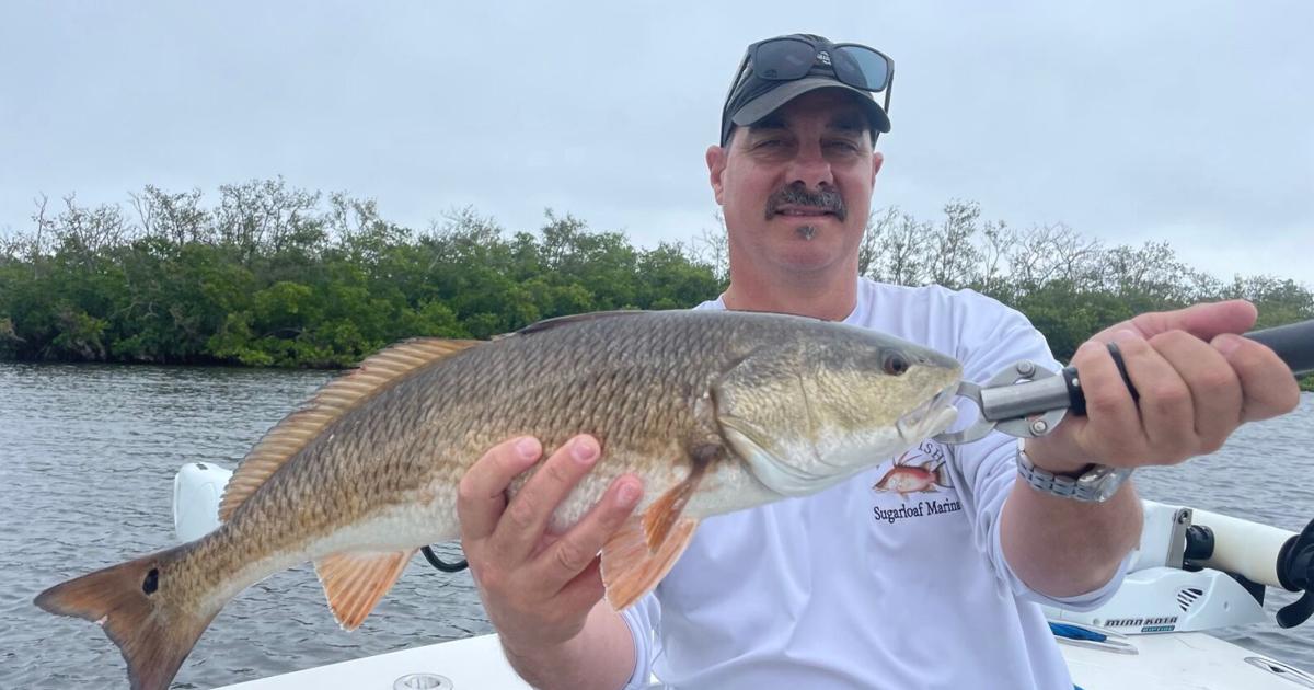 The fishin’ report: Despite cold, redfish and trout are still biting ...