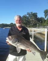 The Nature Coast Fishin’ Report: Gag grouper, Spanish mackerel are good bets
